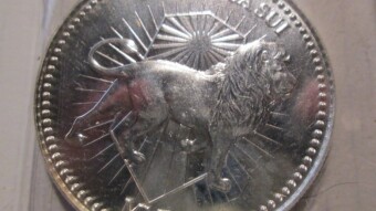 We Are the INFESTATION:  LET THEM DENY IT!
