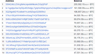 What are the 15 richest bitcoin addresses in 2020?