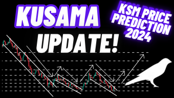 Kusama Crypto Coin Update! | KSM Price Prediction 2024