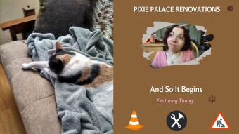 Pixie Palace Renovations | And So It Begins (ft. Timmy)