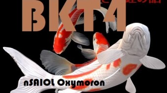 (BKT4) Big Koi Fish Talk Four by Will Jones