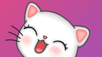 CATCOIN 🐱🚀🌙  POWER MEME COIN PRE-SALE!