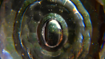 Hypnotized By Reflections & Refraction (An Introduction)