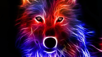 DOS network is seriously undervalued!!!