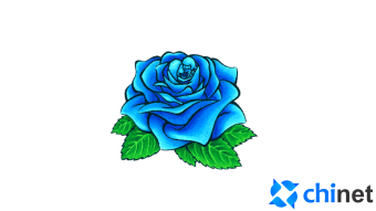 Chinet(CHN) - A New Flower Emerges in the World of Crypto