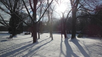 No steps today, although there were many of them