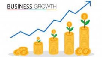 Growth companies: VALUATION IDEAS