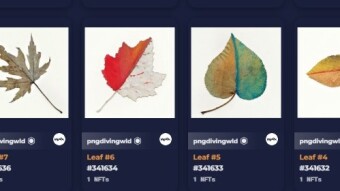 Welcome to the Wax LEAVES world