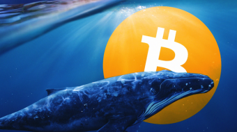 Whales and Crypto Ecosystem