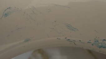 What I found on my toilet seat!