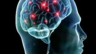 (IJCH) Your Brain - A Very Sophisticated Storage Media (But Still Obeys The Same Data Management Rules As Your Ordinary Hard Drive)