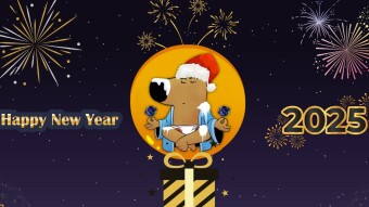 Only 20 hours left for phase 1 withdrwals on ChillGuy X-Mas.