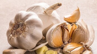 Roasted Garlic Paste Recipe