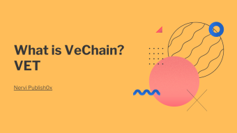 What is VeChain (VET)?