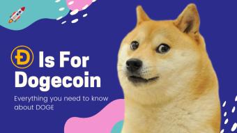 Ɖ Is For Dogecoin 🐶 Everything You Need To Know About DOGE