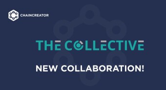 AN INFOGRAPHICS OF THE COLLECTIVE PROJECT