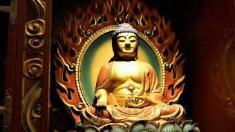 Knowledge can lead to arrogance but wisdom leads to humility