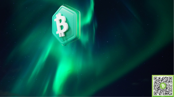 Issues affecting merchants accepting Bitcoin Cash and how (Ideas) to overcome them