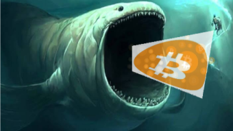 UNKNOWN WHALE SWALLOWS MASSIVE TONS OF BTC AND HERE IS THE IMPLICATIONS