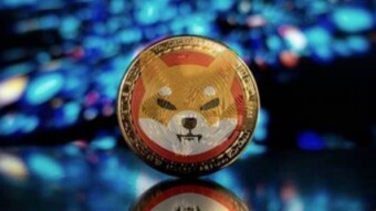 Is Shiba Inu (SHIB) a good investment?