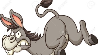 When You're Kicked In The Ass; You're Out In Front !!