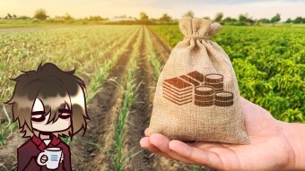 Harvest finance in focus, the upcoming king of farming