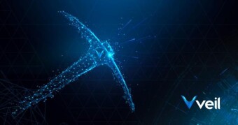 VEIL - Coin worth mining today ! Hybrid Proof-of-Work and Proof-of-Stake consensus system.