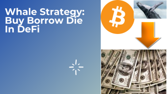 Whale Strategy: Buy Borrow Die In DeFi