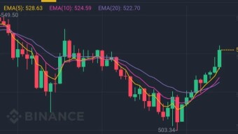 My Crypto Trading Journey: Did I Succeed? (For NOOBS Only)
