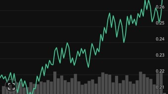 Cardano 20% Rise
