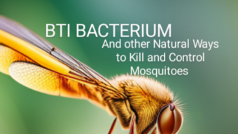 Mosquito Control Methods Using Smarter Products: BTI bacterium