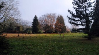 Busy Tuesday and a quick walk - My Actifit Report Card: December 23, 2025