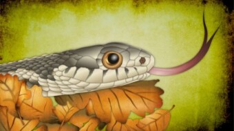 Eastern Garter Snake - My Newest NFT on NFT Showroom