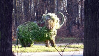 Tuesday camera safari - hunting for all kinds of animals - My Actifit Report Card: November 8 2022