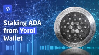 Stake ADA from a Yoroi wallet