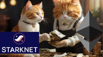 Starknet: The Most Secure Ethereum L2?