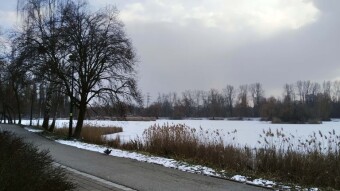 Dynamic Sunday. A lot of sun and some snow - My Actifit Report Card: February 16 2025