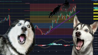 These altcoins could generate gigantic gains against Bitcoin. (Price analysis)