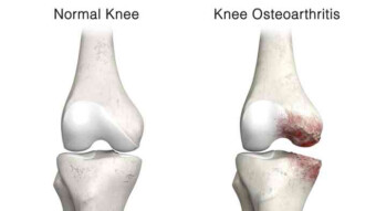 StartEngine Raises That Intrigue Us - May 2024