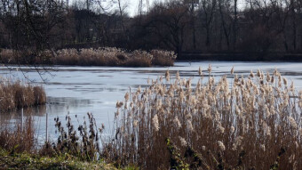 Will winter return with a bang, because for now it is retreating?