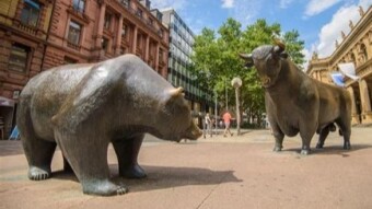 Preparing for hibernation (a.k.a. my strategies for the bear market)