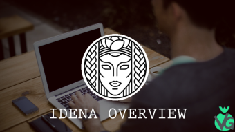 VG’s Brief Overview — Idena — Proof-of-Person Blockchain