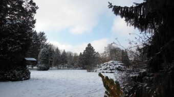 A little less sun today, but still pleasant - My Actifit Report Card: January 22, 2026
