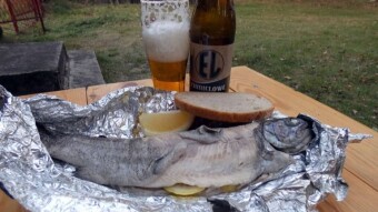 Hoppy beer from the Radom Brewery and grilled trout