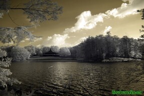 Infrared Photography - Interesting structures across the lake
