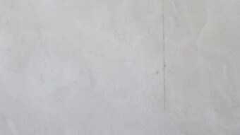 Letters