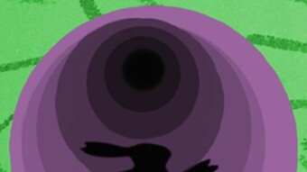 Down the Rabbit Hole