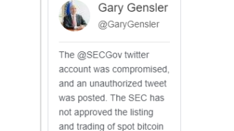 What Kind of Idiot Buys Bitcoin Based on a Tweet, Anyway..?