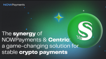 The Synergy of NOWPayments and Centric (CNS): A Game-Changing Solution for Stable Crypto Payments