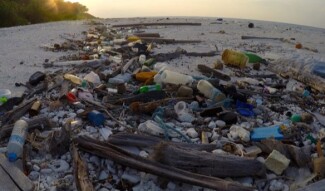 Plastic Pollution Hits Home -- Why We Should Really Look at Alternatives to Plastic Use in our Daily Lives